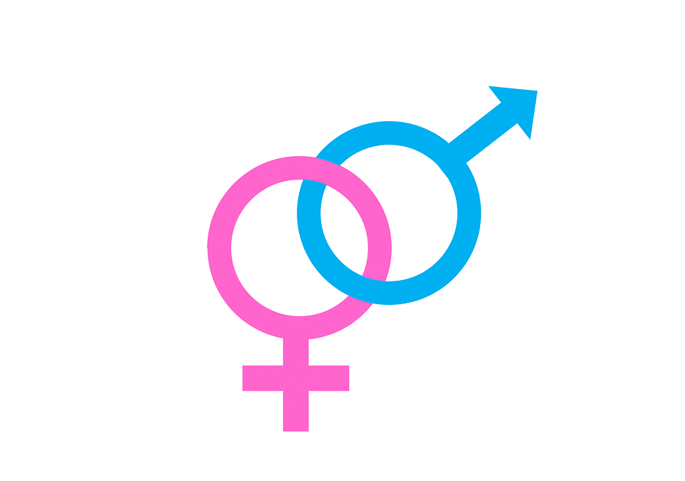 Gender Professional Equality Index